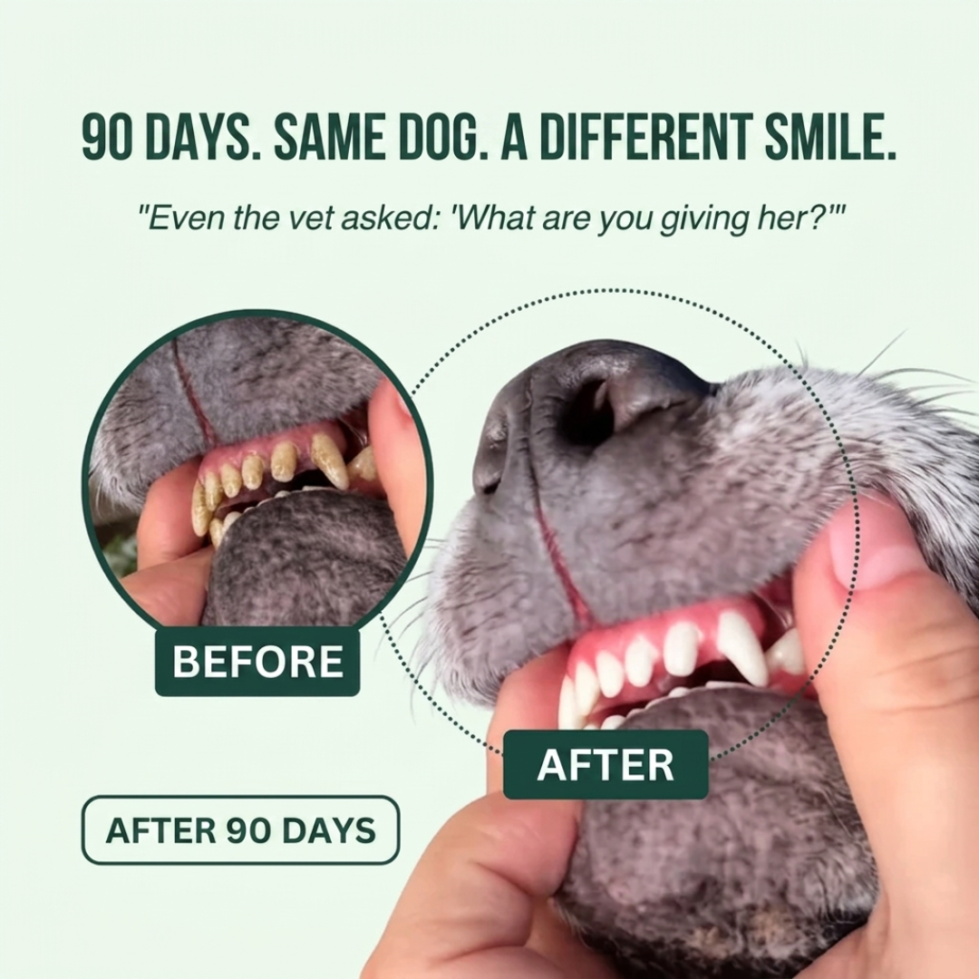 BauPaw™ Dental Spray – Eliminates the Bacteria That Cause Tartar & Bad Breath in Dogs