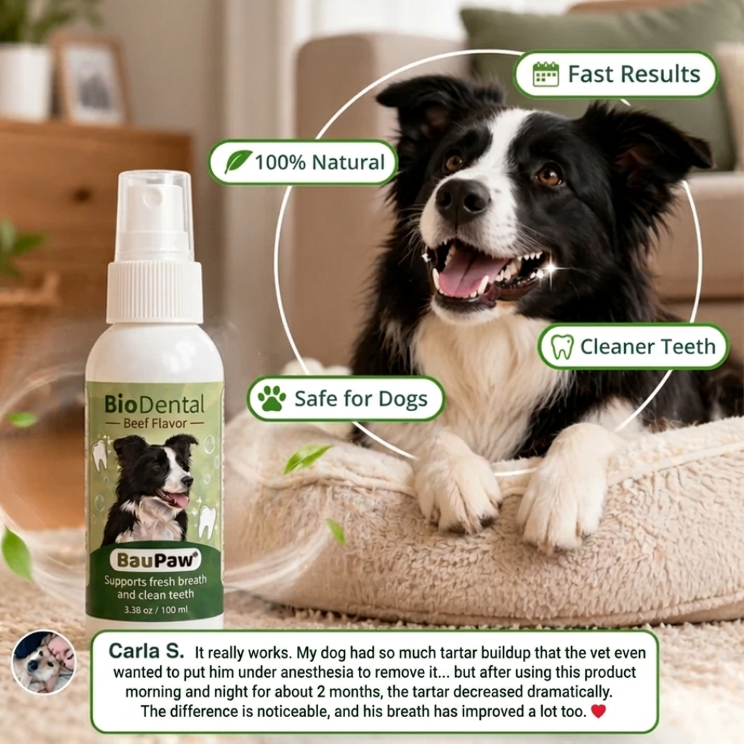 BauPaw™ Dental Spray – Eliminates the Bacteria That Cause Tartar & Bad Breath in Dogs