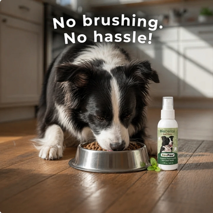 BauPaw™ Dental Spray – Eliminates the Bacteria That Cause Tartar & Bad Breath in Dogs