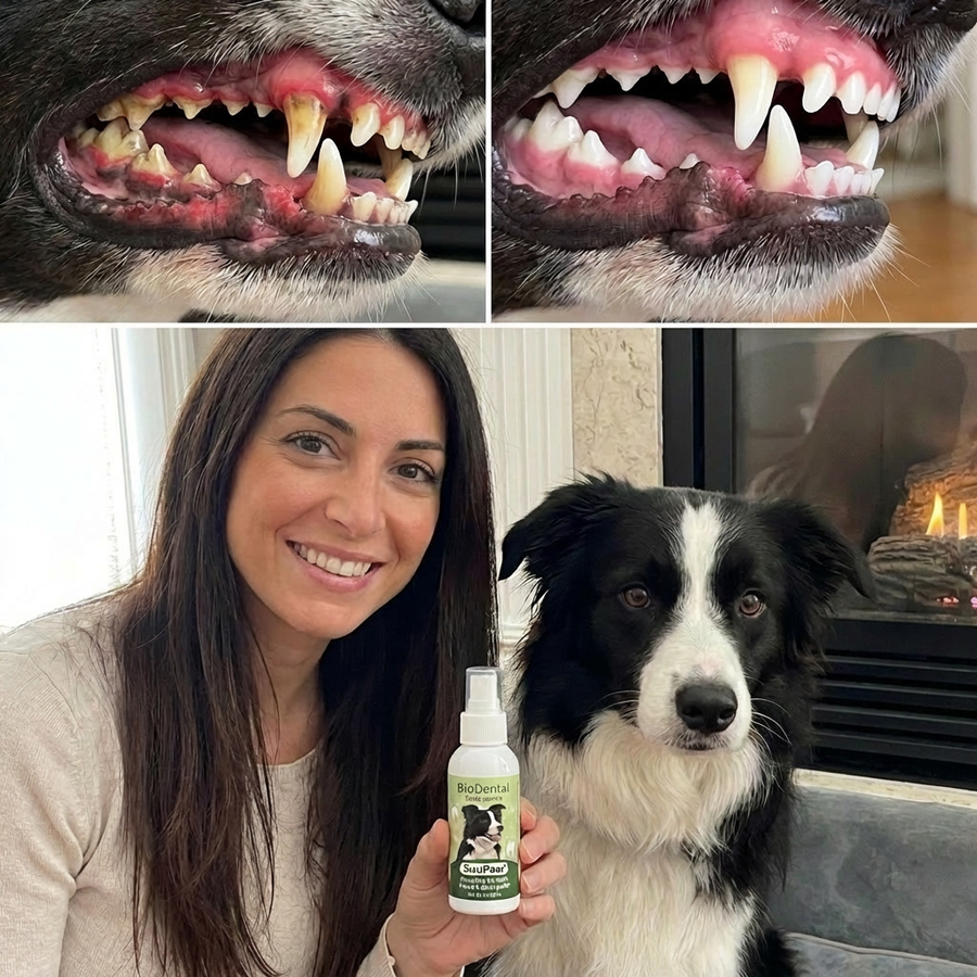 Customer photo